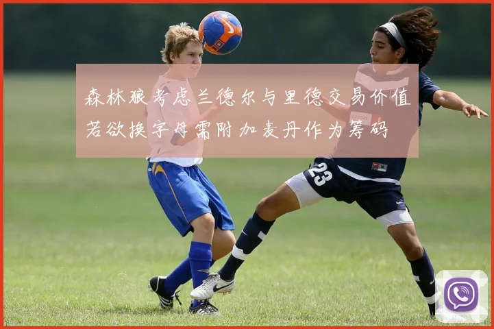 森林狼考虑兰德尔与里德交易价值若欲换字母需附加麦丹作为筹码