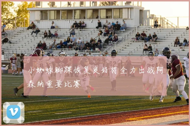 小蜘蛛脚踝恢复良好将全力出战阿森纳重要比赛