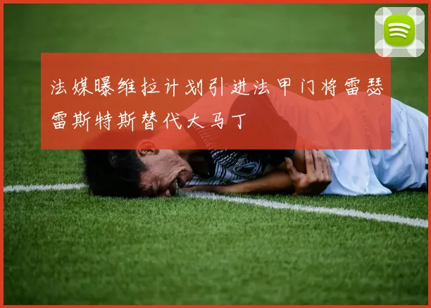 法媒曝维拉计划引进法甲门将雷瑟雷斯特斯替代大马丁