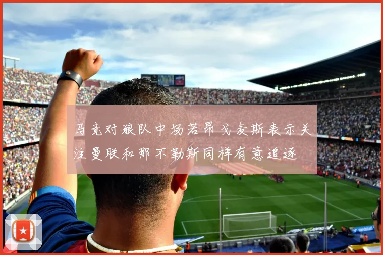 马竞对狼队中场若昂戈麦斯表示关注曼联和那不勒斯同样有意追逐
